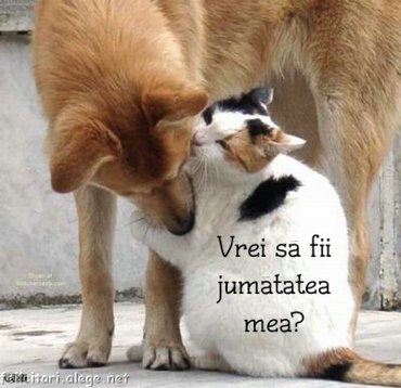 Valentine Day